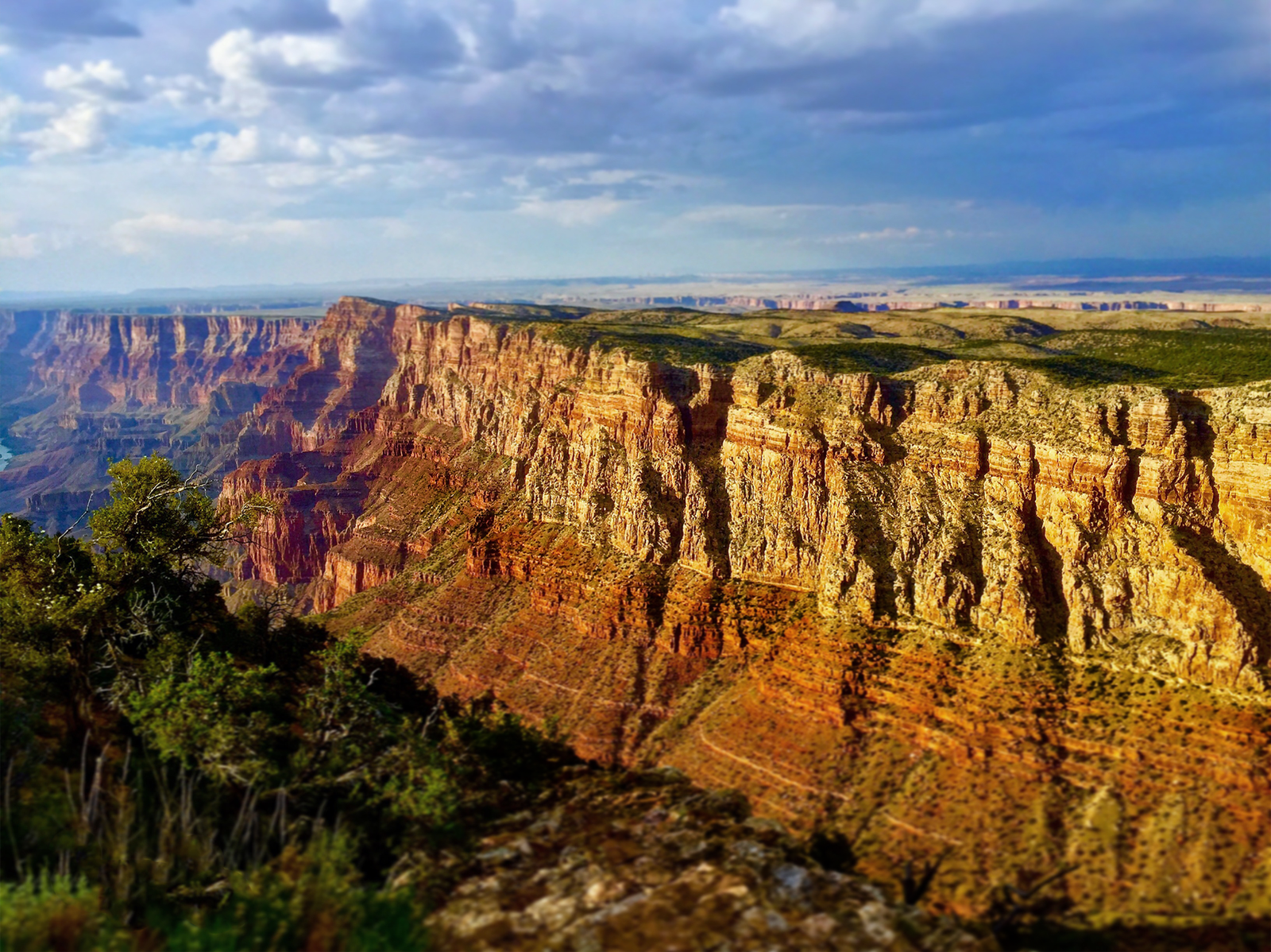 Grand Canyon landscape from Desert View looking toward the Colorado and Little Colorado River confluence