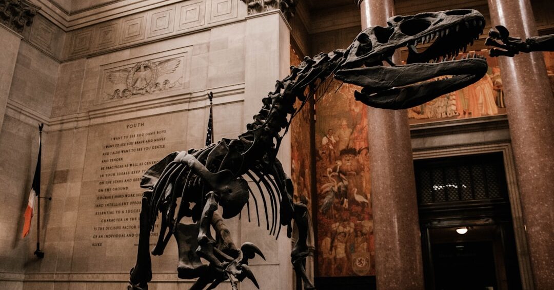 Mounted Allosaurus skeleton in the Theodore Roosevelt Rotunda at the American Museum of Natural History in New York City