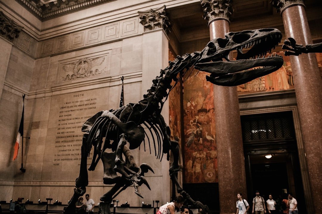 A visitor viewing a dinosaur fossil display inside a natural history museum