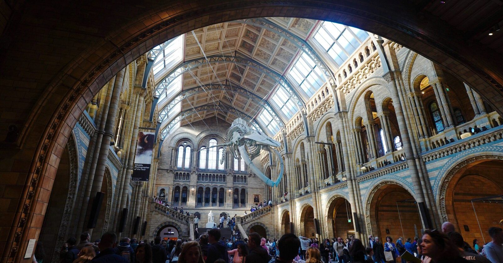 Hope the blue whale skeleton suspended above visitors in Hintze Hall at London's Natural History Museum