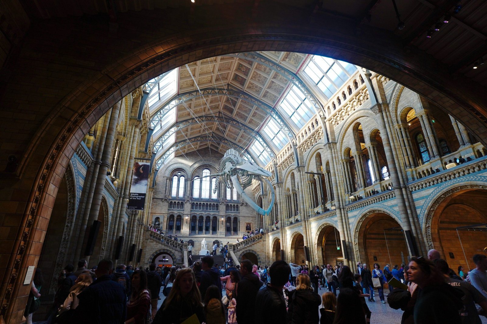 Natural History Museum London Hintze Hall scaled 1