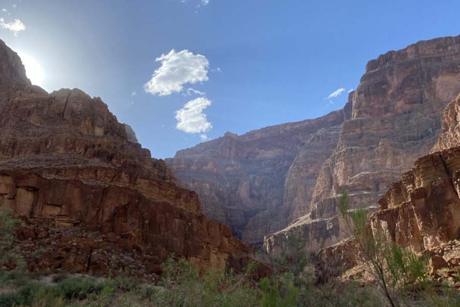 Afternoon sun shining behind towering Grand Canyon cliffs with desert vegetation in the foreground
