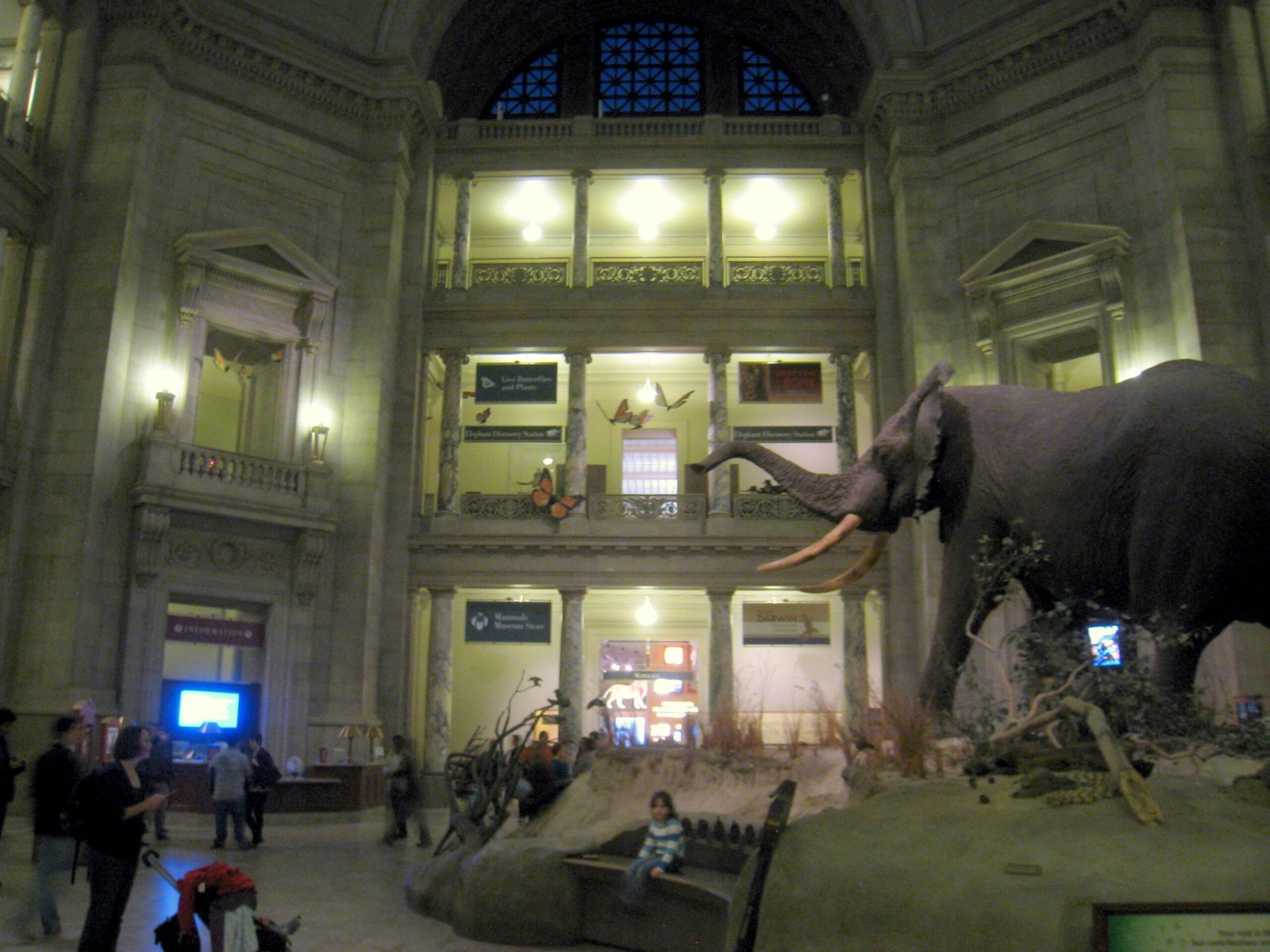 Smithsonian National Museum of Natural History Washington DC scaled 1