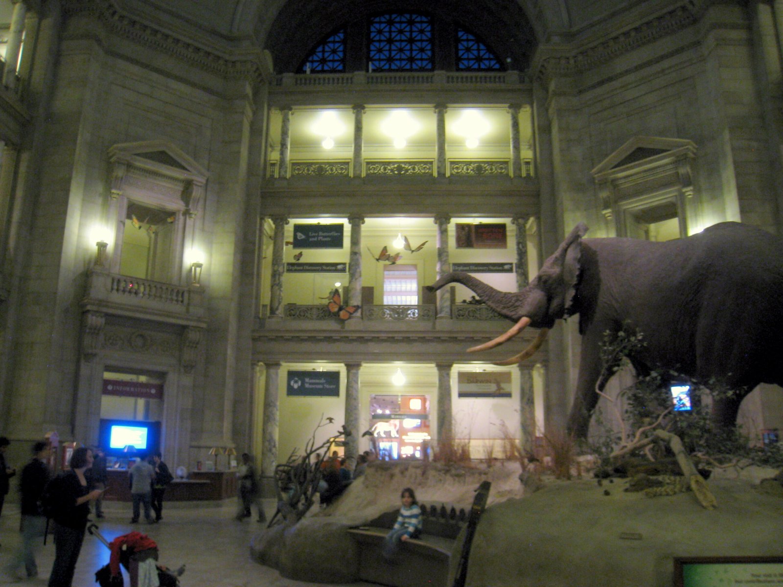 Interior of the Smithsonian National Museum of Natural History in Washington, DC