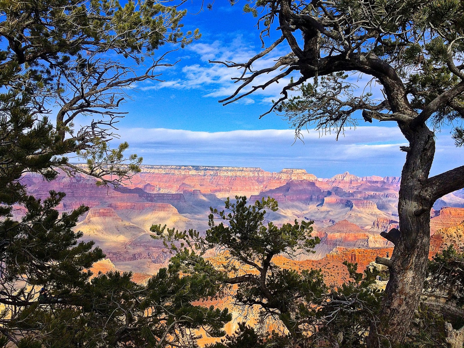 Layered cliffs and mesas across the Grand Canyon South Rim