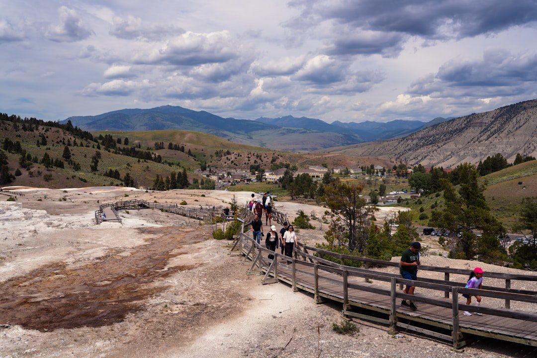Visitors walking along boardwalks through the geothermal terraces of Yellowstone National Park