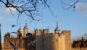 Tower of London fortress in warm evening light with birds flying in front