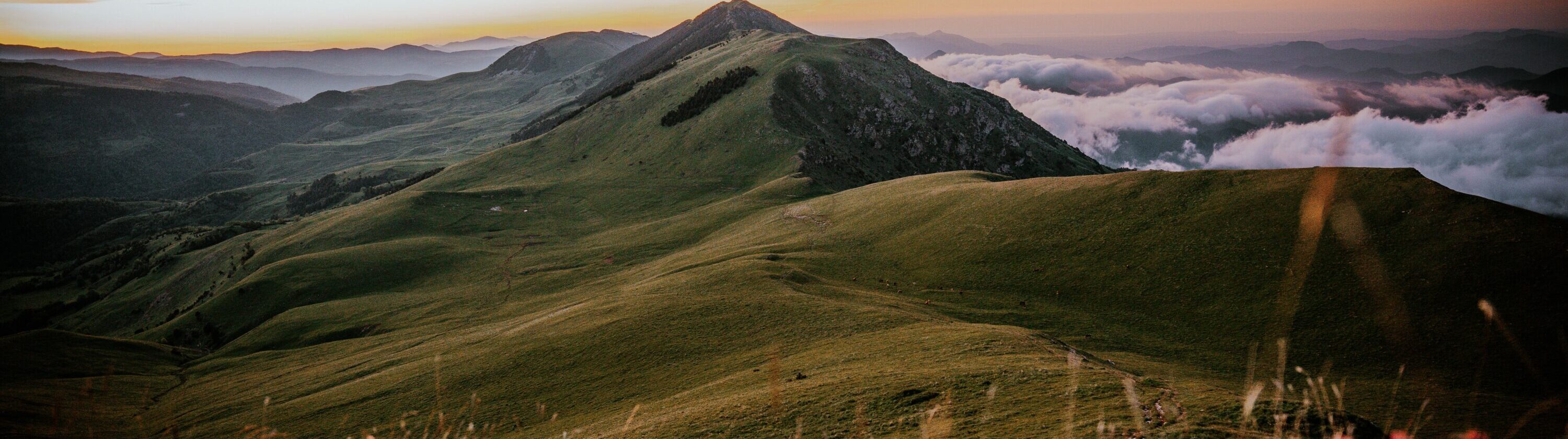 Mountain ridges and wildflowers beneath a colorful sunrise sky
