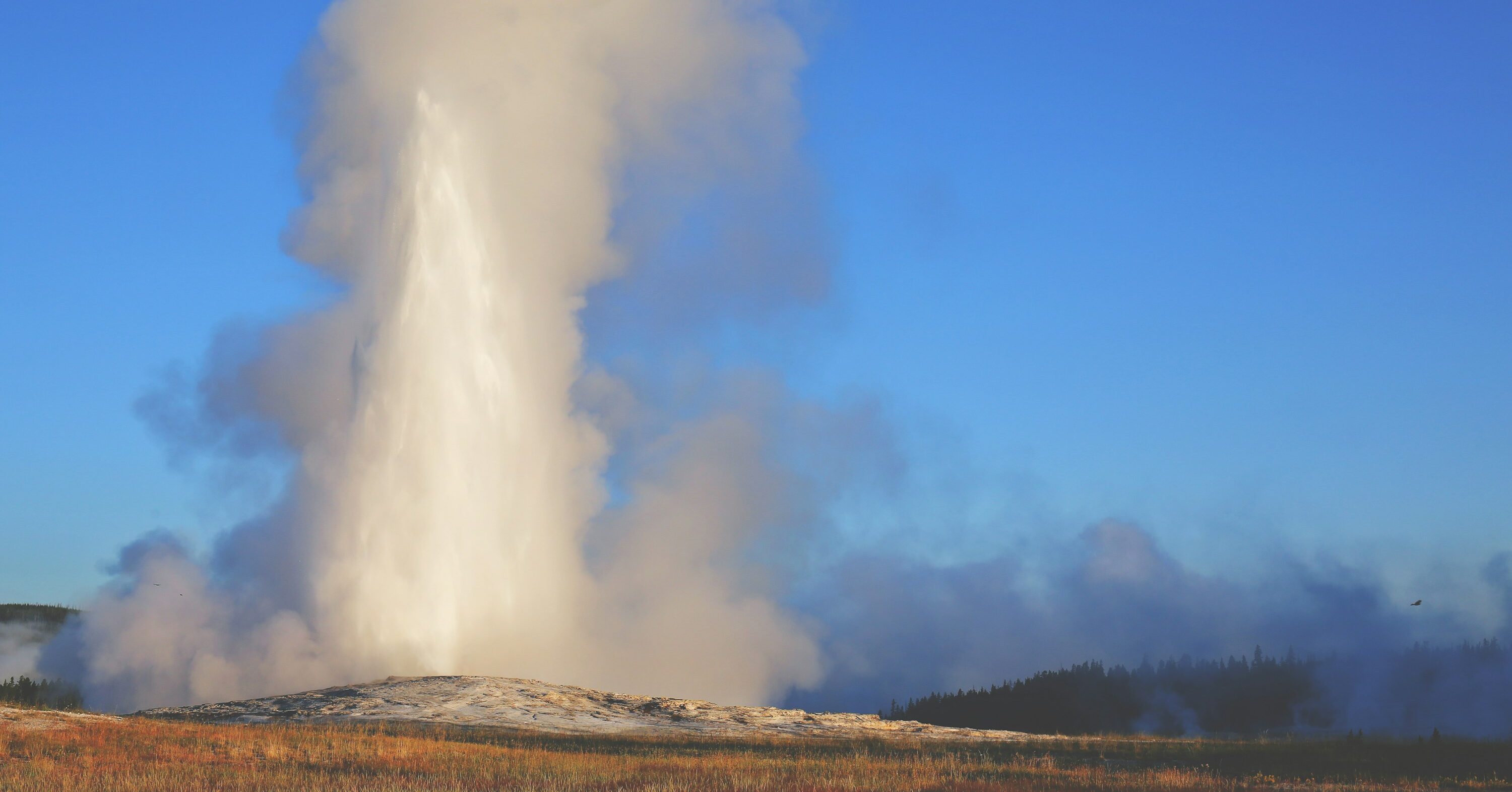Old Faithful geyser erupting at sunrise in Yellowstone National Park